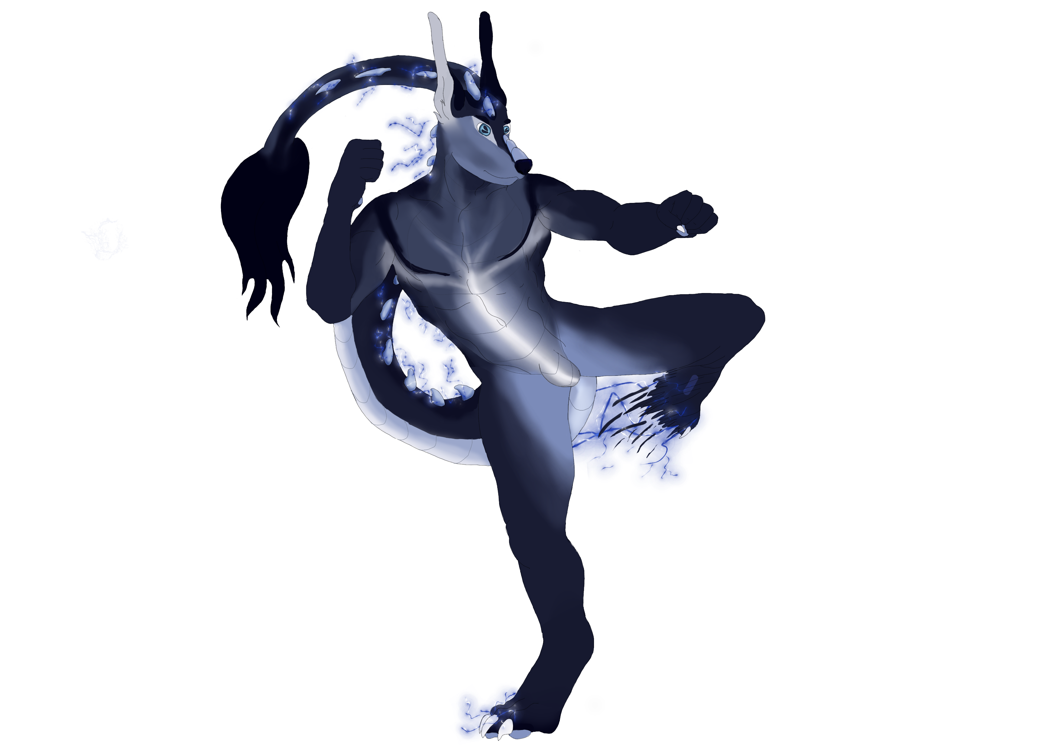 Click to view larger size MMA